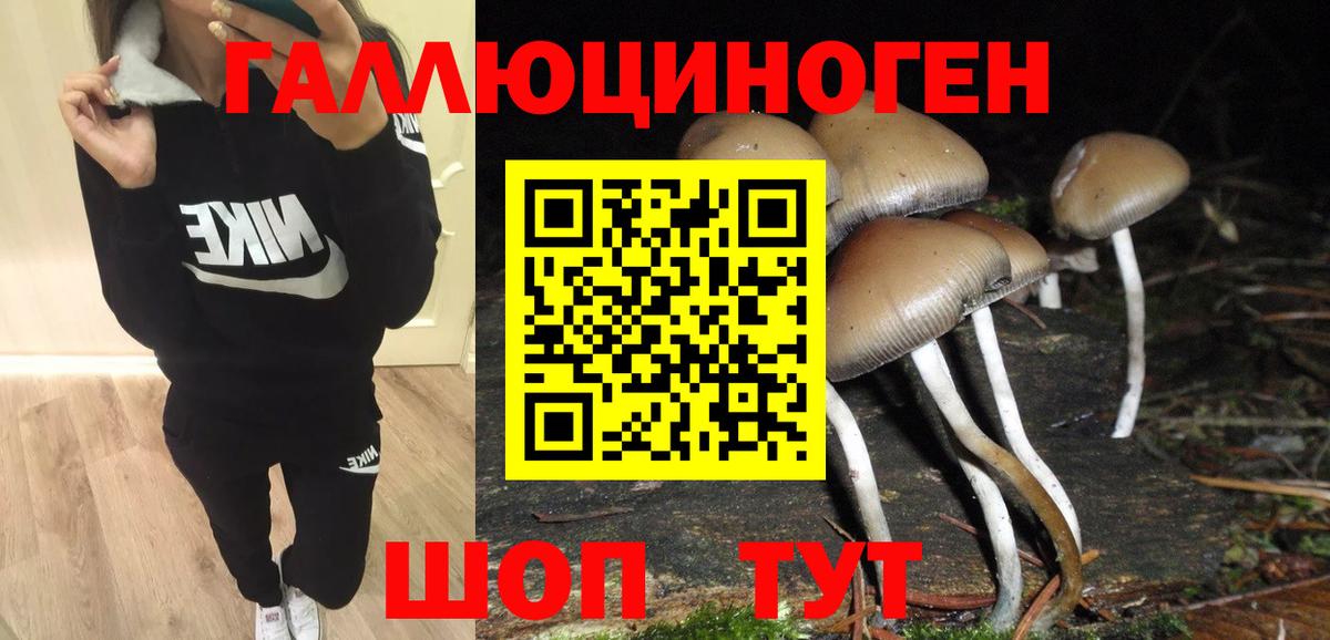 Галлюциногенные грибы GOLDEN TEACHER  Вход с VPN  Верхний Уфалей  купить закладку  Псилоцибиновые грибы Cubensis 